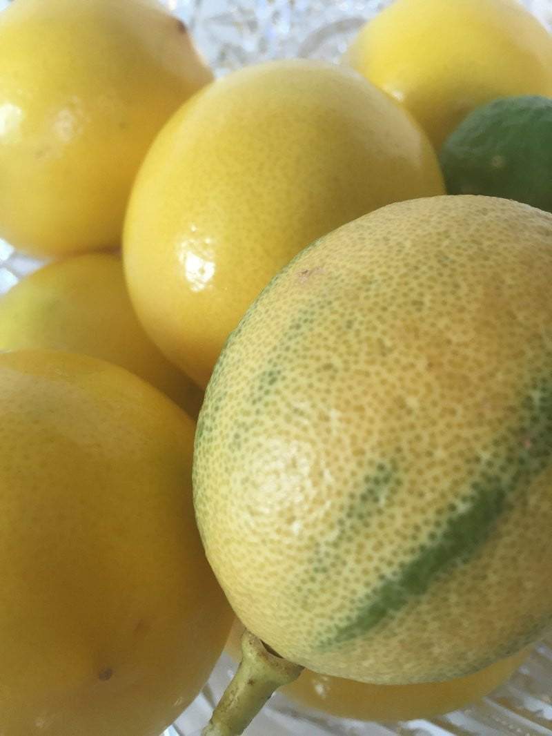 Simply Citrus Aromatherapy Diffuser Blend (5ml,10ml) - L's Naturals | Bath & Body Boutique